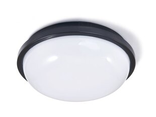 Канальный светильник IP65 LED Torton 20W Черный - Нейтральный белый (4000K) цена и информация | Потолочные светильники | 220.lv