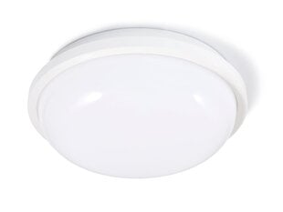 Канальный светильник IP65 LED Torton 20W White - Нейтральный белый (4000K) цена и информация | Настенные светильники | 220.lv