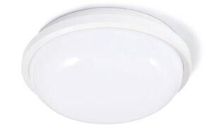 Канальный светильник IP65 LED Torton 20W White - Нейтральный белый (4000K) цена и информация | Настенные светильники | 220.lv