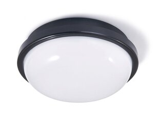 Канальный светильник IP65 LED Torton 15W черный - нейтральный белый (4000K) цена и информация | Настенные светильники | 220.lv