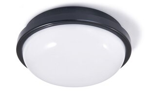 Канальный светильник IP65 LED Torton 20W White - Нейтральный белый (4000K) цена и информация | Настенные светильники | 220.lv