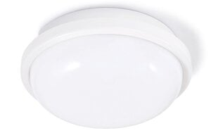 Канальный светильник IP65 LED Torton 20W White - Нейтральный белый (4000K) цена и информация | Настенные светильники | 220.lv