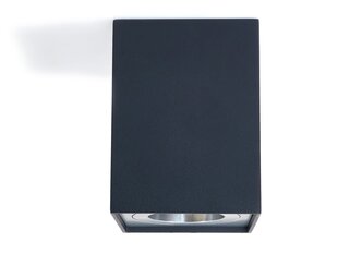 Светодиодный светильник Busto S x1, серебристый Галогенный светильник для постоянного накладного монтажа в алюминии цена и информация | Потолочный светильник | 220.lv