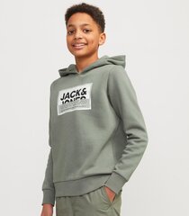 Jack & Jones bērnu sporta krekls 12254120*01, olīva/ag 5715514900030 cena un informācija | Zēnu jakas, džemperi, žaketes, vestes | 220.lv
