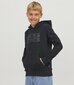 JACK & JONES JUNIOR bērnu sporta krekls 12152841*05, melns/melns 5715321545936 cena un informācija | Zēnu jakas, džemperi, žaketes, vestes | 220.lv