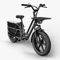 Elektriskais velosipēds Fiido T2, 20", pelēks cena un informācija | Elektrovelosipēdi | 220.lv