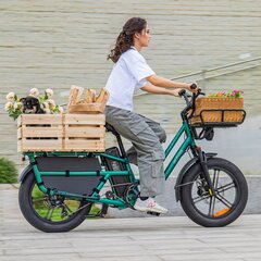 Электровелосипед Fiido T2, 20", зеленый цена и информация | Электровелосипеды | 220.lv