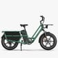Elektriskais velosipēds Fiido T2, 20", zaļš цена и информация | Elektrovelosipēdi | 220.lv
