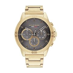 Наручные часы TOMMY HILFIGER Harley Link Strap Quartz Gold 1791891 цена и информация | Мужские часы | 220.lv