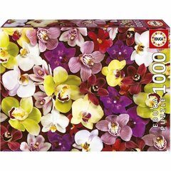 Puzle Educa Orchid, 1000 gab. cena un informācija | Puzles, 3D puzles | 220.lv