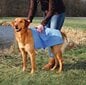 Dvielis suņiem Trixie, 66x43 cm, zils цена и информация | Kopšanas līdzekļi dzīvniekiem | 220.lv