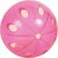 Plastmasas bumbiņas kaķiem Trixie, 4 gab. cena un informācija | Rotaļlietas kaķiem | 220.lv