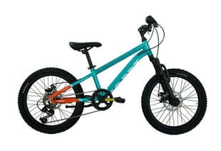 Детский велосипед Coppi Mtb 20", синий цвет цена и информация | Велосипеды | 220.lv