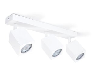 Накладной галогенный настенно-потолочный светильник LED Quantus x3, белый цена и информация | Потолочные светильники | 220.lv
