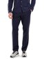 Guess džinsi vīriešiem Dressy Myron Pants M3BB01 WFOT2 G7V2, zils cena un informācija | Vīriešu bikses | 220.lv
