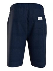 Мужские шорты Tommy Hilfiger Hwk Short UM0UM03008DW5 545667722, синий цена и информация | Мужские шорты | 220.lv