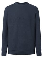 Джемпер для мужчин Joop 10016109, синий цена и информация | Мужские свитера | 220.lv