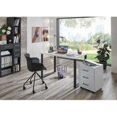 Ящик Aatrium Home Desk, 46x40x58 см, белый цвет цена и информация | Компьютерные, письменные столы | 220.lv
