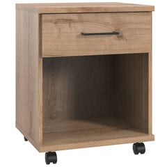 Atvilktņu kaste Aatrium Home Desk, 46x40x58 cm, brūna cena un informācija | Datorgaldi, rakstāmgaldi, biroja galdi | 220.lv