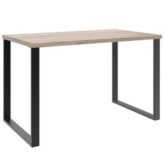 Rakstāmgalds Aatrium Home Desk, 120x70x75, brūns cena un informācija | Datorgaldi, rakstāmgaldi, biroja galdi | 220.lv