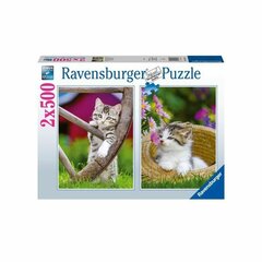 Puzle Ravensburger kaķēni 2 x 500 gab cena un informācija | Puzles, 3D puzles | 220.lv