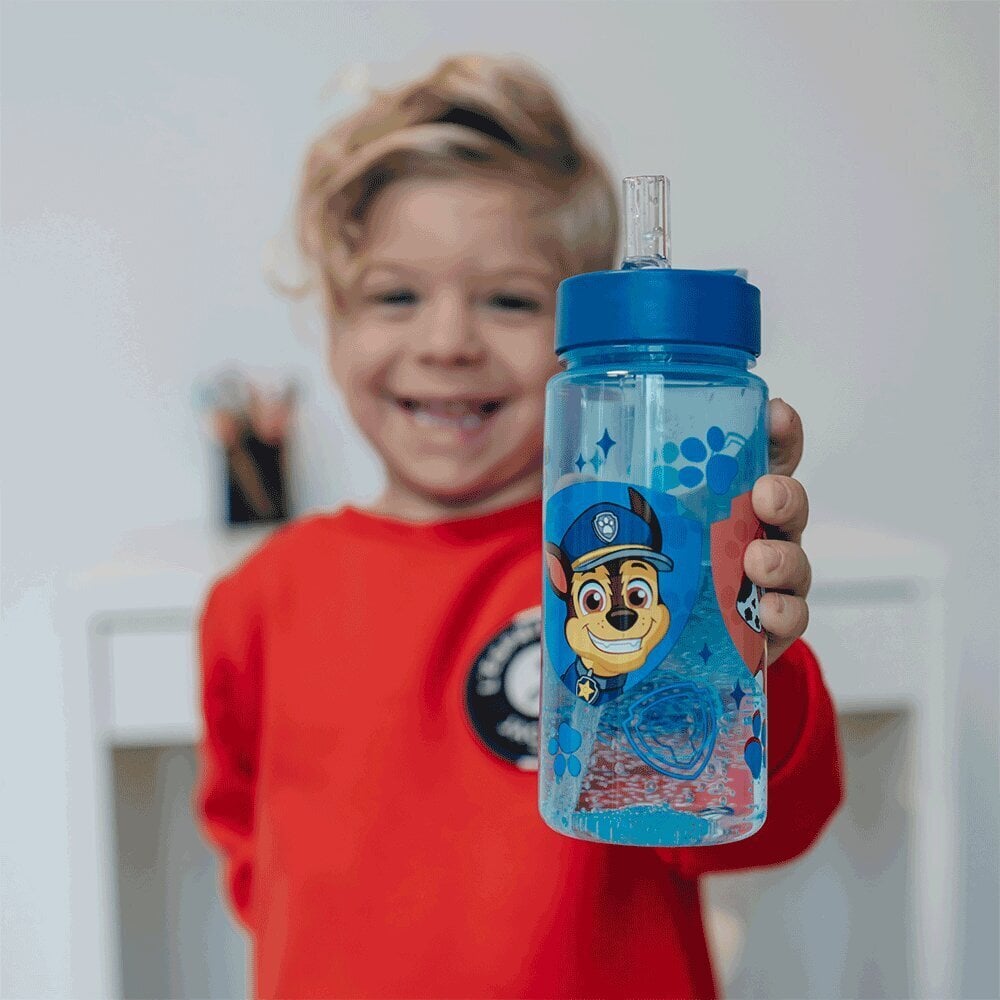 Ūdens pudele Paw Patrol, 500 ml цена и информация | Ūdens pudeles | 220.lv