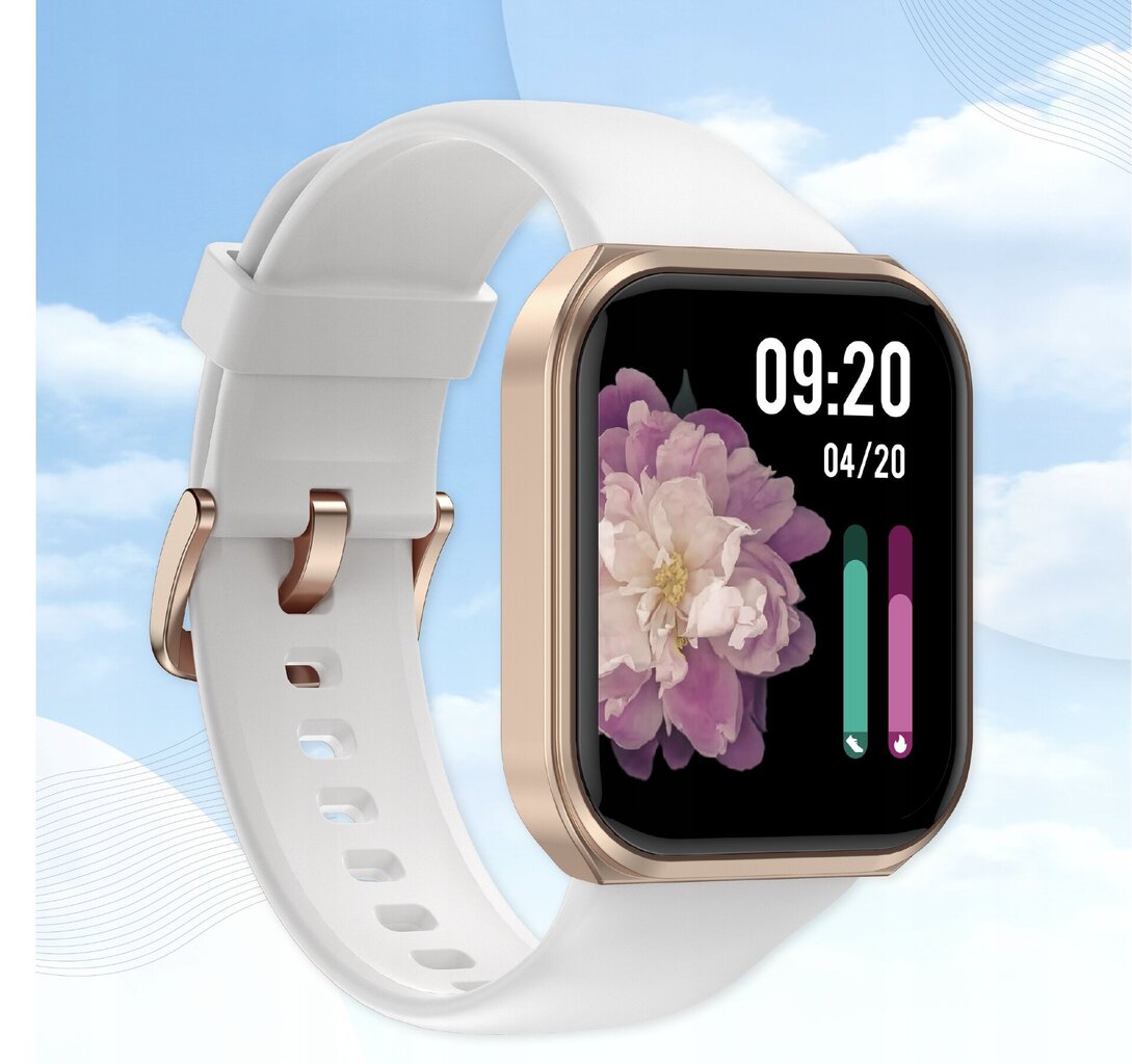 WonderFit s65, zelts цена и информация | Viedpulksteņi (smartwatch) | 220.lv