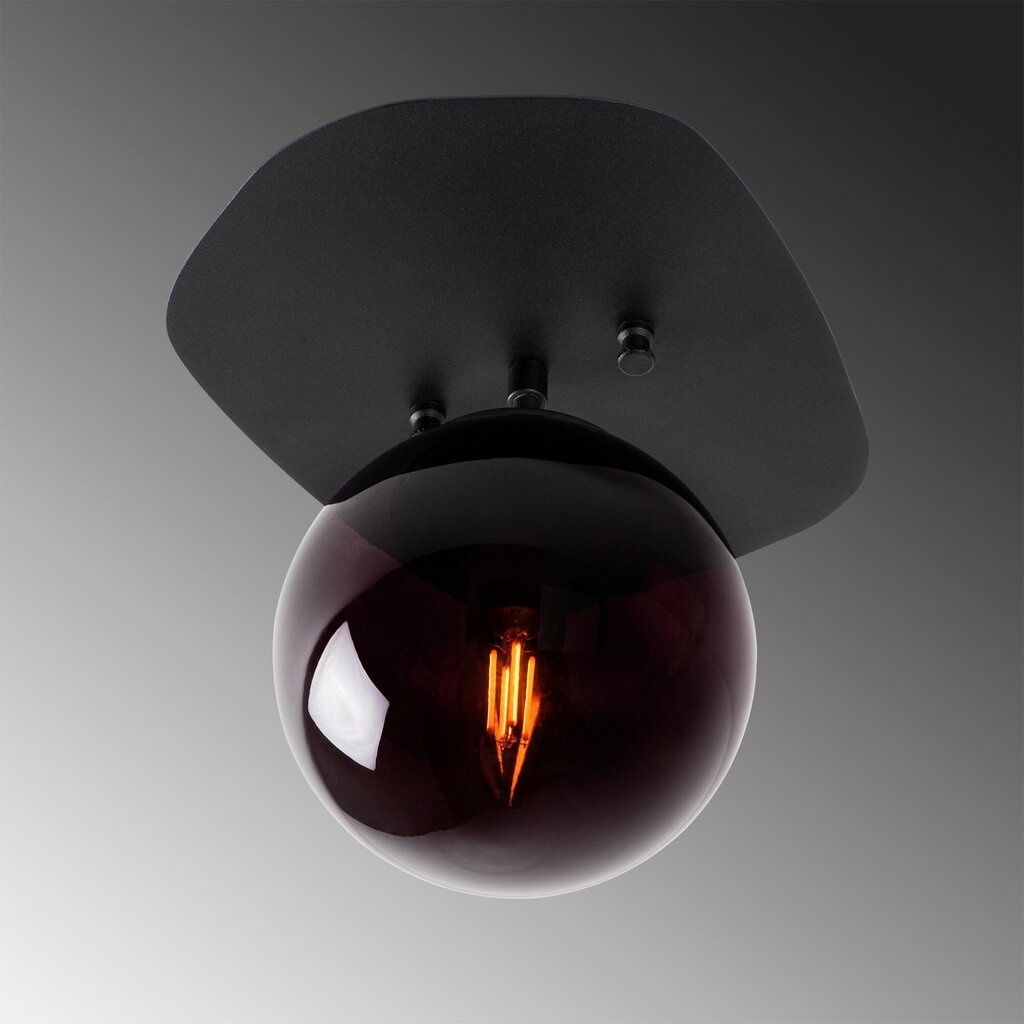 Lubinis šviestuvas Well-11676 cena un informācija | Griestu lampas | 220.lv