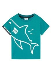 T-krekls zēniem Boboli Lake 520239064, zaļš цена и информация | Рубашки для мальчиков | 220.lv