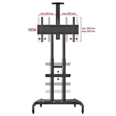 NB AVA 1800 55"-90" (до 90 кг, VESA до 80*50см) цена и информация | Кронштейны и крепления для телевизоров | 220.lv