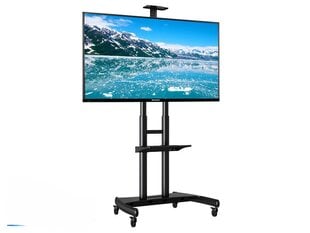 NB AVA 1800 55"-90" (до 90 кг, VESA до 80*50см) цена и информация | Кронштейны и крепления для телевизоров | 220.lv