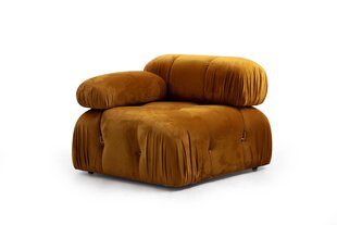 Krēsls Bubble L1, dzeltens цена и информация | Кресла в гостиную | 220.lv