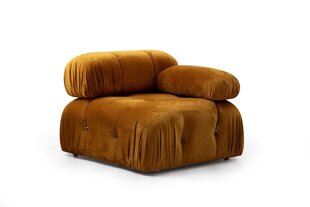 Krēsls Bubble 1R, brūns цена и информация | Кресла в гостиную | 220.lv