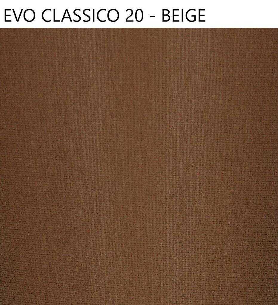 Sieviešu zeķubikses Favorite Evo Classico 41129, bēšas, 20 DEN, 3 gab. цена и информация | Zeķubikses | 220.lv