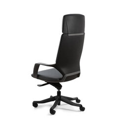 Эргономичное кресло Apollo, черный/черный цена и информация | Офисные кресла | 220.lv