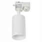 Led-lux griestu lampa AL-610 cena un informācija | Griestu lampas | 220.lv