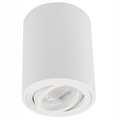 Led-lux Потолочный светильник AL-613 цена и информация | Потолочные светильники | 220.lv