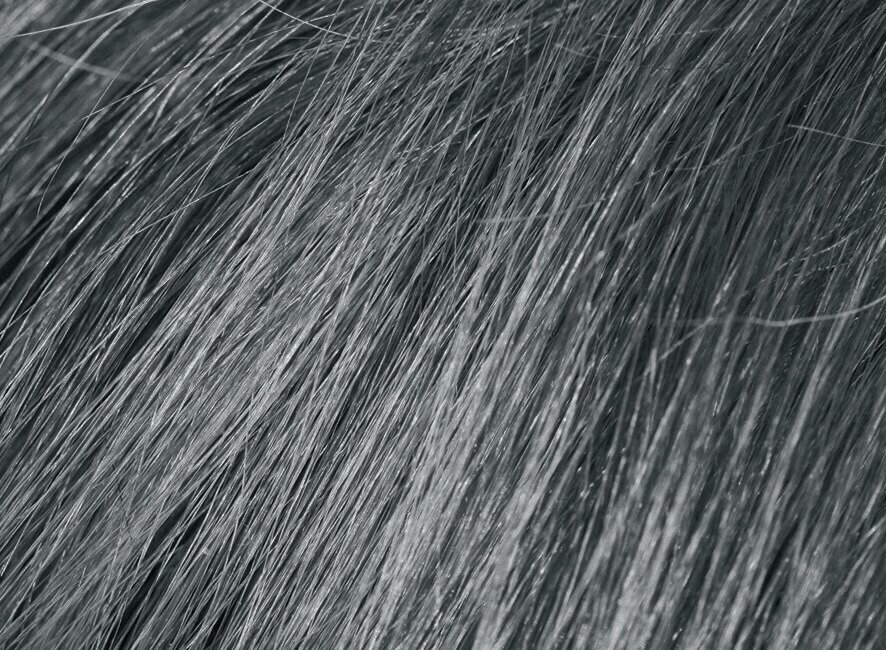 Pelēkas krāsas pagaidu matu tonizējošs šampūns Beardburys Color Shampoo 9G, cena un informācija | Matu krāsas | 220.lv