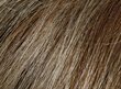 Gaiši brūns pagaidu matu tonizējošs šampūns Beardburys Color Shampoo 5N cena un informācija | Matu krāsas | 220.lv