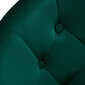 Skaistumkopšanas salona krēsls 4Rico QS-BL12B, zaļš цена и информация | Mēbeles skaistumkopšanas saloniem | 220.lv