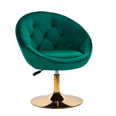 Skaistumkopšanas salona krēsls 4Rico QS-BL12B, zaļš cena un informācija | Mēbeles skaistumkopšanas saloniem | 220.lv