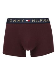 Мужские трусы боксеры Tommy Hilfiger 5P Trunk Gold Wb UM0UM030470Y2 545667733, 5 шт., разноцветный цена и информация | Мужские трусы Nek, черные | 220.lv