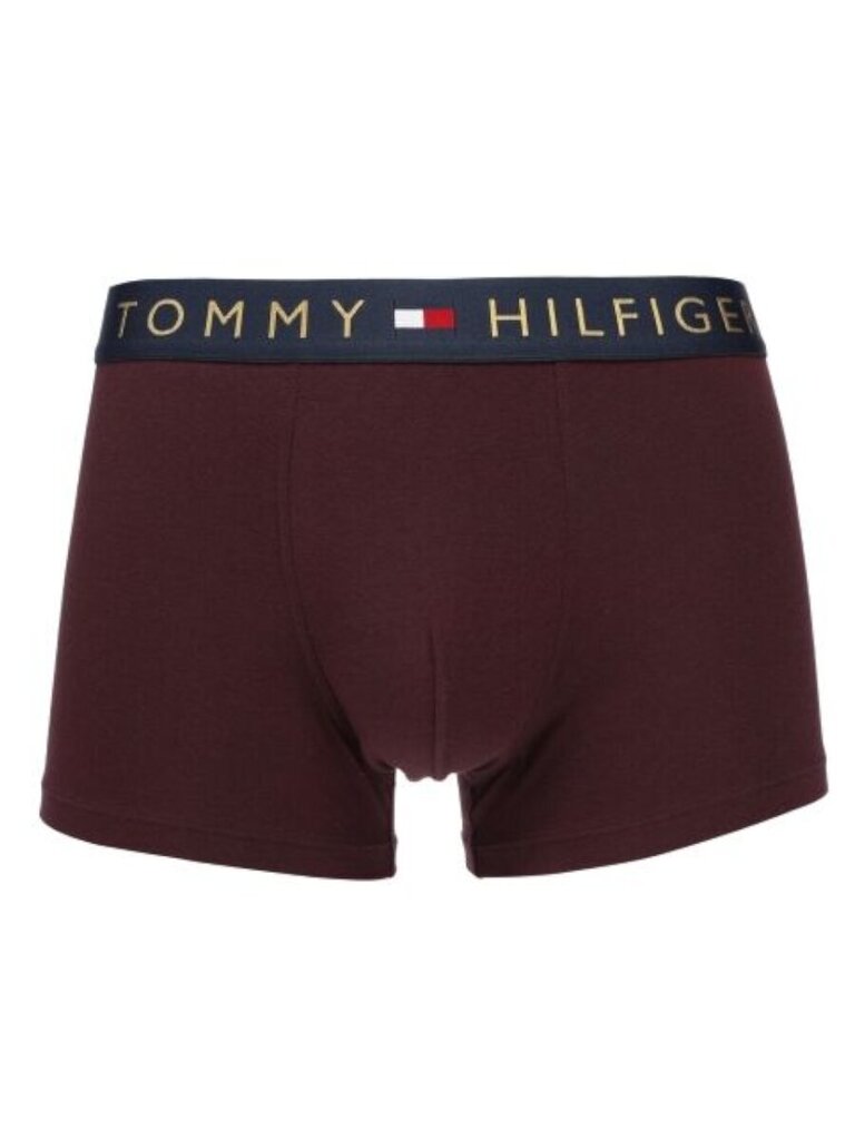 Tommy Hilfiger bokseršorti vīriešiem Trunk Gold Wb 545667733, dažādu krāsu, 5 gab. cena un informācija | Vīriešu apakšbikses | 220.lv