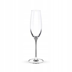 Wilmax šampanieša glāzes, 260 ml, 2 gab. cena un informācija | Glāzes, krūzes, karafes | 220.lv