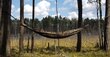 Šūpuļtīkls Bushmen Bushbed Pro/Camo + Insektu tīkls cena un informācija | Šūpuļtīkli | 220.lv