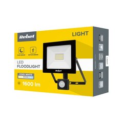 LED prožektors Rebel, 20W, 6500K cena un informācija | Lukturi | 220.lv