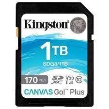 Kingston SDG3 cena un informācija | Atmiņas kartes mobilajiem telefoniem | 220.lv
