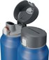 Pudele HidrateSpark Pro, 950 ml, zila цена и информация | Ūdens pudeles | 220.lv