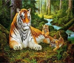 Алмазная мозаика тигр Norimpex цена и информация | Алмазная мозаика | 220.lv