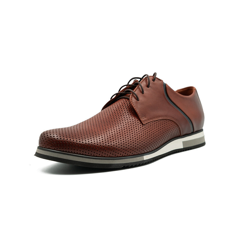Conhpol apavi vīriešiem D2571S02241, brūni цена и информация | Vīriešu kurpes, zābaki | 220.lv
